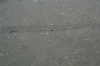 Storm19.JPG