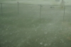 Storm22.JPG