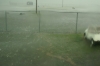 Filename=Storm23.JPG
Filesize=67KB
Dimensions=640x426
Date added=Jul 16, 2008 Storm23.JPG