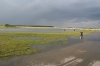 Filename=Storm29.JPG
Filesize=95KB
Dimensions=640x426
Date added=Jul 16, 2008 Storm29.JPG