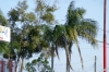 Filename=USSN-Sun-63.JPG
Filesize=163KiB
Dimensions=640x426
Date added=Jan 27, 2008 USSN-Sun-63.JPG