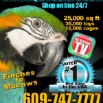 Print Ad